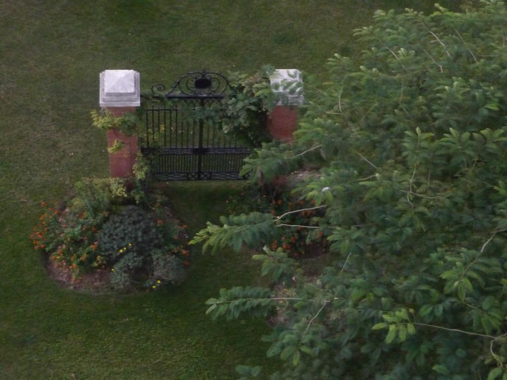 Homestay Baie Des Anges *